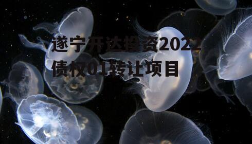 遂宁开达投资2022债权01转让项目