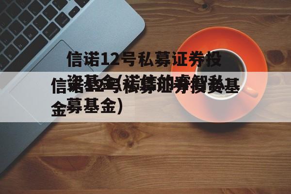 信诺12号私募证券投资基金(诺信的睿智私募基金)