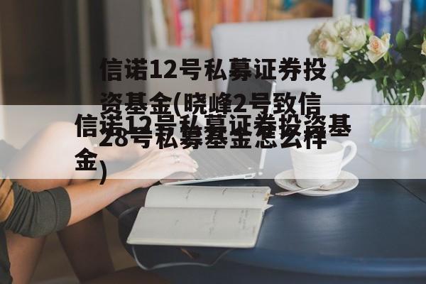 信诺12号私募证券投资基金(晓峰2号致信28号私募基金怎么样)