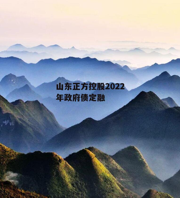 山东正方控股2022年政府债定融