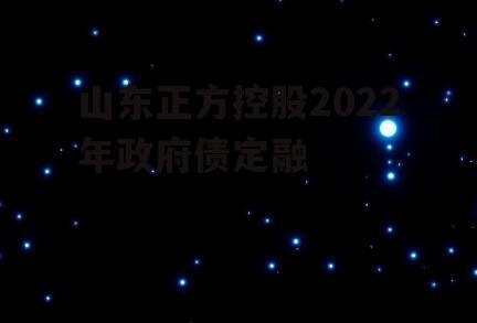 山东正方控股2022年政府债定融