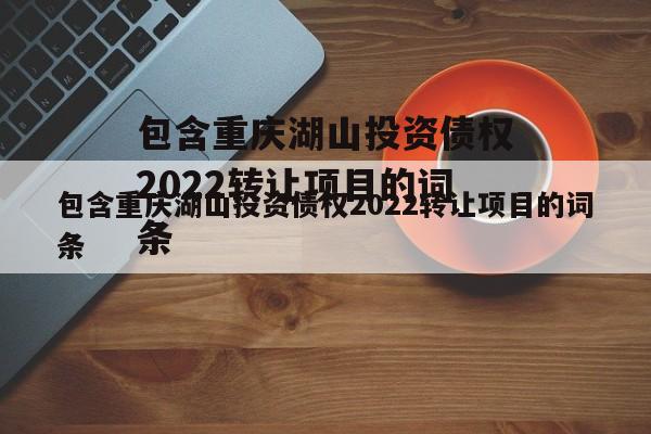 包含重庆湖山投资债权2022转让项目的词条