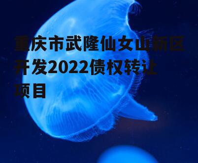 重庆市武隆仙女山新区开发2022债权转让项目