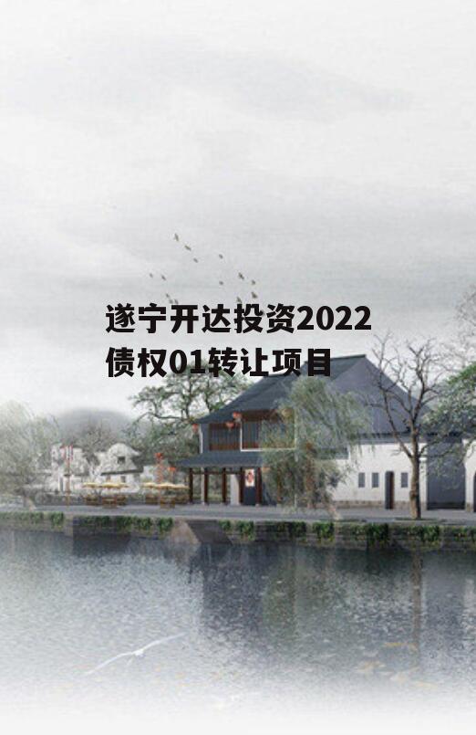 遂宁开达投资2022债权01转让项目