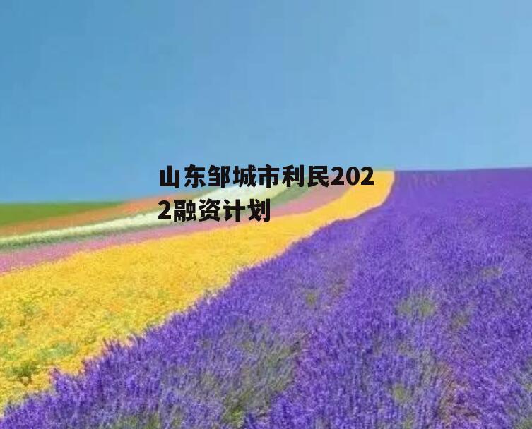 山东邹城市利民2022融资计划