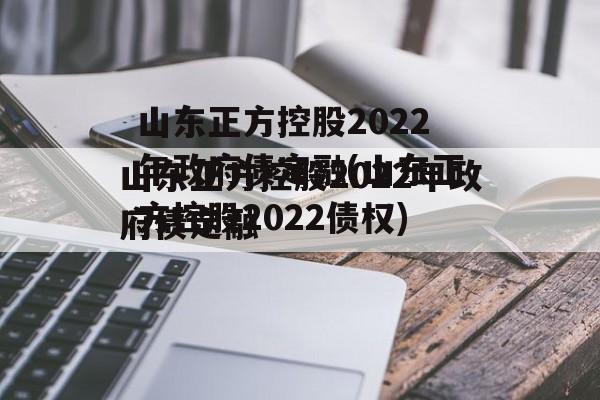 山东正方控股2022年政府债定融(山东正方控股2022债权)