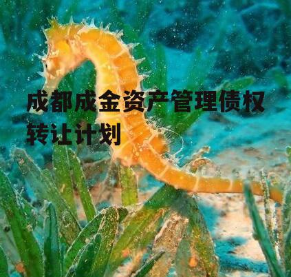 成都成金资产管理债权转让计划