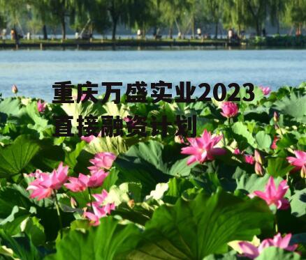 重庆万盛实业2023直接融资计划