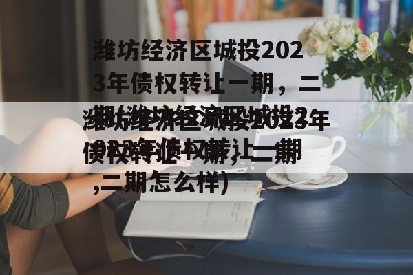 潍坊经济区城投2023年债权转让一期，二期(潍坊经济区城投2023年债权转让一期,二期怎么样)