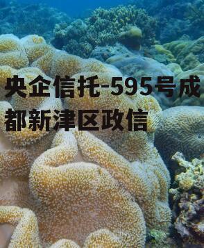 央企信托-595号成都新津区政信