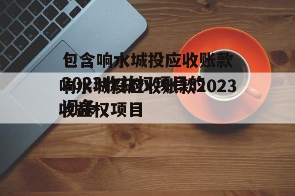 包含响水城投应收账款2023收益权项目的词条