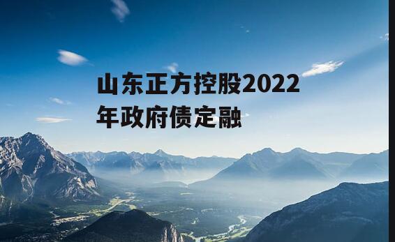 山东正方控股2022年政府债定融