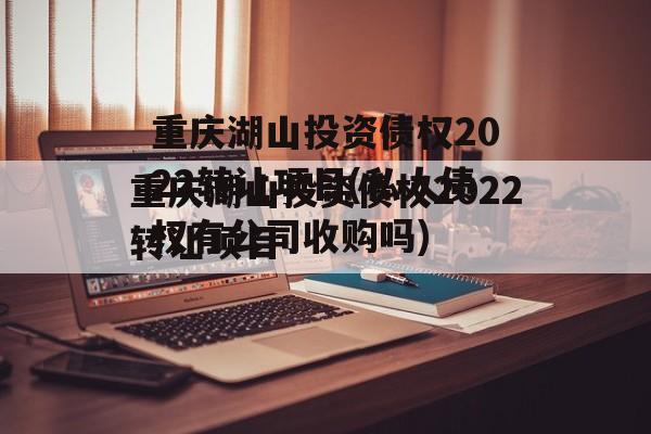 重庆湖山投资债权2022转让项目(私人债权有公司收购吗)