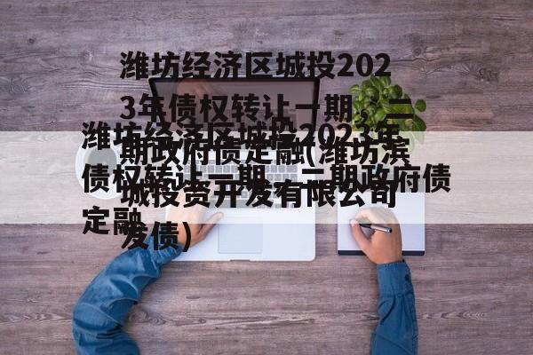 潍坊经济区城投2023年债权转让一期，二期政府债定融(潍坊滨城投资开发有限公司 发债)