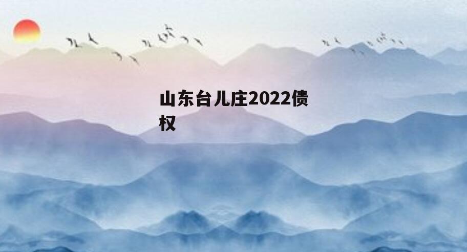 山东台儿庄2022债权