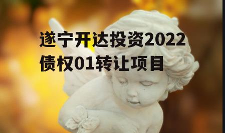 遂宁开达投资2022债权01转让项目