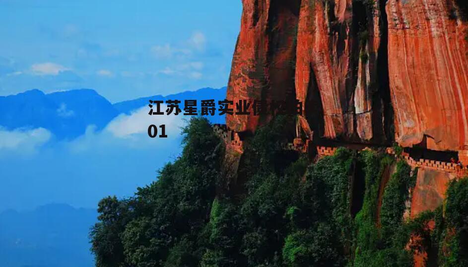 江苏星爵实业债权拍卖01