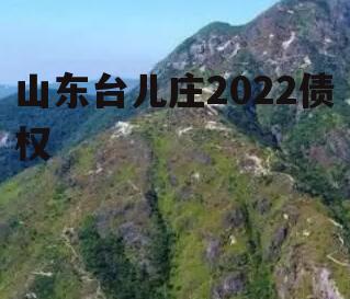 山东台儿庄2022债权