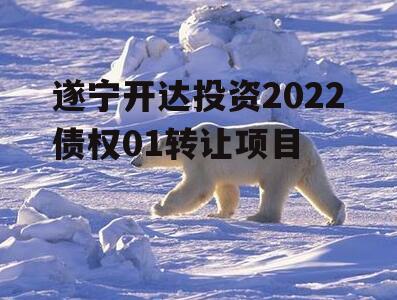 遂宁开达投资2022债权01转让项目