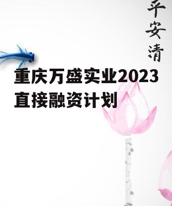 重庆万盛实业2023直接融资计划