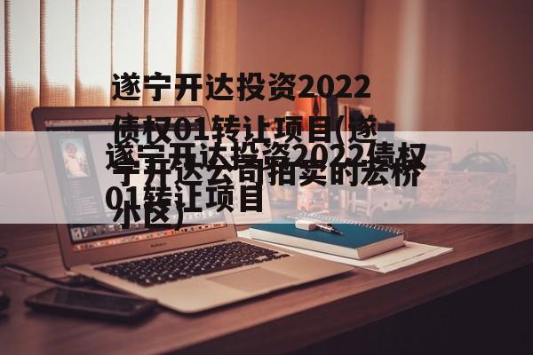 遂宁开达投资2022债权01转让项目(遂宁开达公司拍卖的宏桥小区)