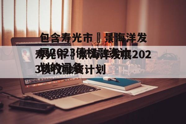 包含寿光市昇景海洋发展2023债权融资计划的词条