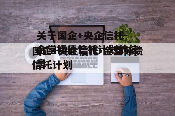 关于国企+央企信托-金堂标债信托计划的信息