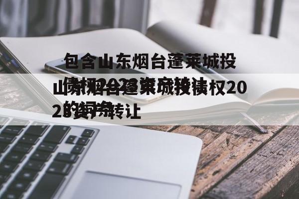 包含山东烟台蓬莱城投债权2023资产转让的词条