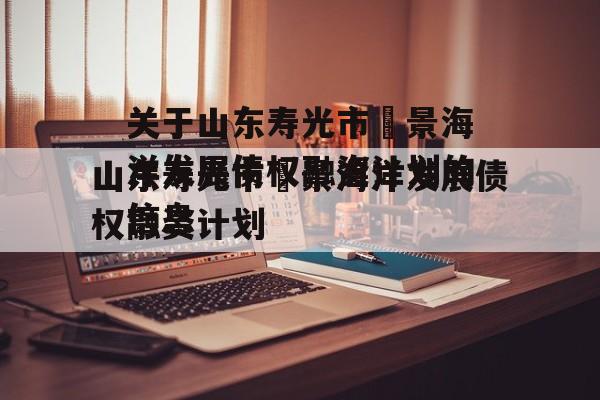 关于山东寿光市昇景海洋发展债权融资计划的信息