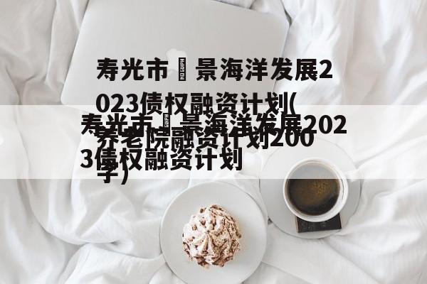 寿光市昇景海洋发展2023债权融资计划(养老院融资计划200字)