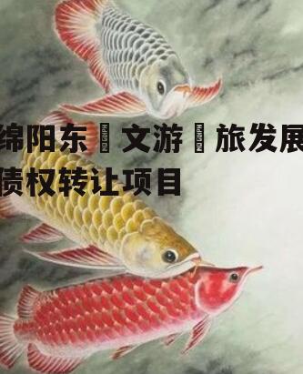 绵阳东‮文游‬旅发展债权转让项目