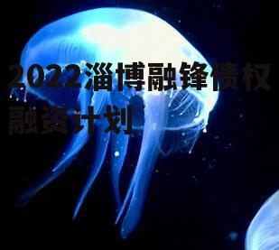 2022淄博融锋债权融资计划