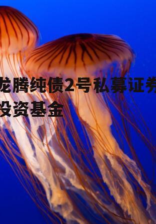 龙腾纯债2号私募证券投资基金