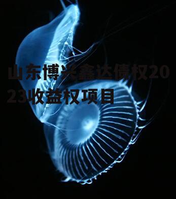 山东博兴鑫达债权2023收益权项目