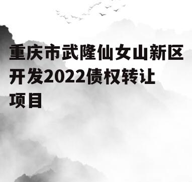 重庆市武隆仙女山新区开发2022债权转让项目