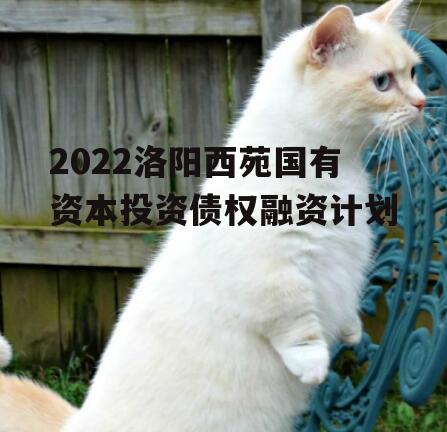 2022洛阳西苑国有资本投资债权融资计划