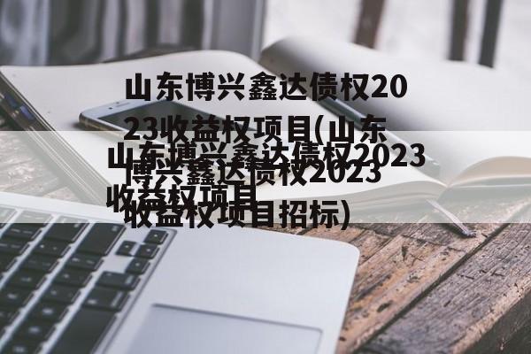 山东博兴鑫达债权2023收益权项目(山东博兴鑫达债权2023收益权项目招标)