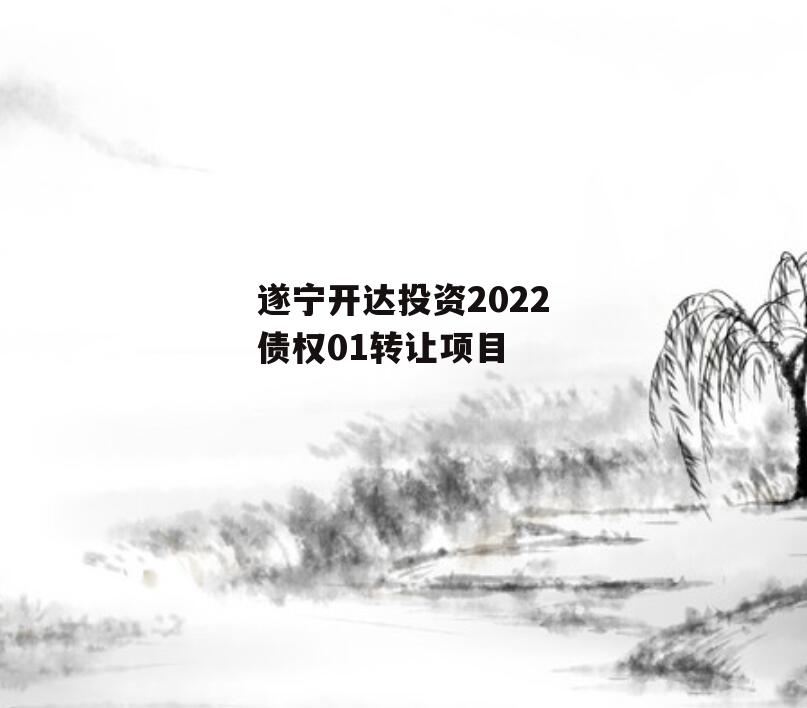 遂宁开达投资2022债权01转让项目