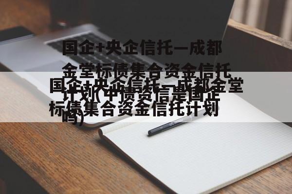 国企+央企信托—成都金堂标债集合资金信托计划(中债资信是国企吗)