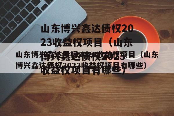 山东博兴鑫达债权2023收益权项目（山东博兴鑫达债权2023收益权项目有哪些）