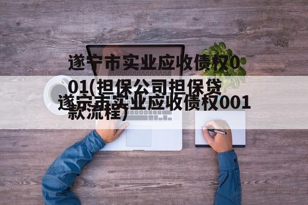 遂宁市实业应收债权001(担保公司担保贷款流程)