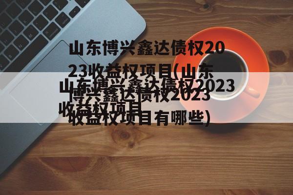 山东博兴鑫达债权2023收益权项目(山东博兴鑫达债权2023收益权项目有哪些)