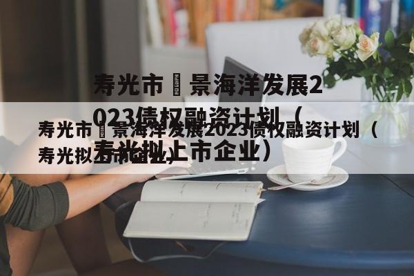 寿光市昇景海洋发展2023债权融资计划（寿光拟上市企业）