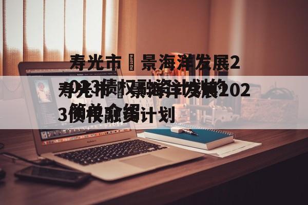 寿光市昇景海洋发展2023债权融资计划的简单介绍