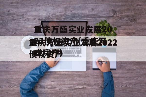 重庆万盛实业发展2022债权资产(重庆万盛房产)