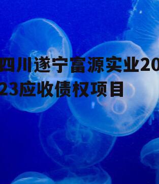 四川遂宁富源实业2023应收债权项目