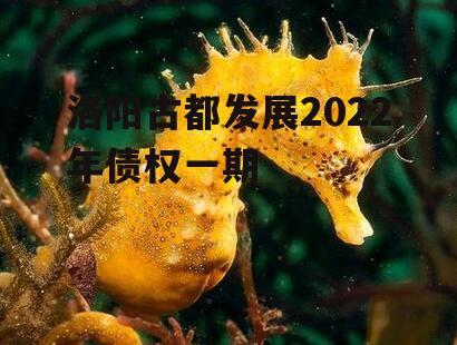 洛阳古都发展2022年债权一期