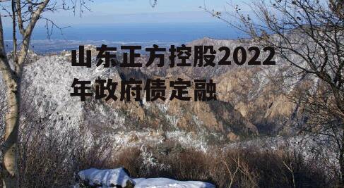 山东正方控股2022年政府债定融