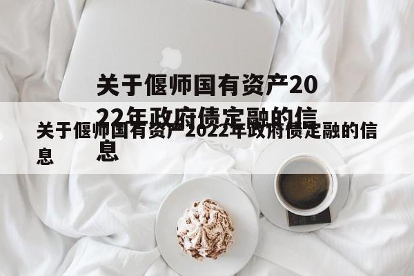 关于偃师国有资产2022年政府债定融的信息