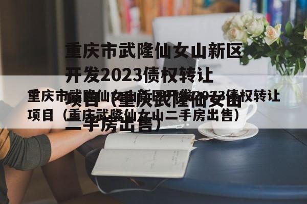 重庆市武隆仙女山新区开发2023债权转让项目（重庆武隆仙女山二手房出售）